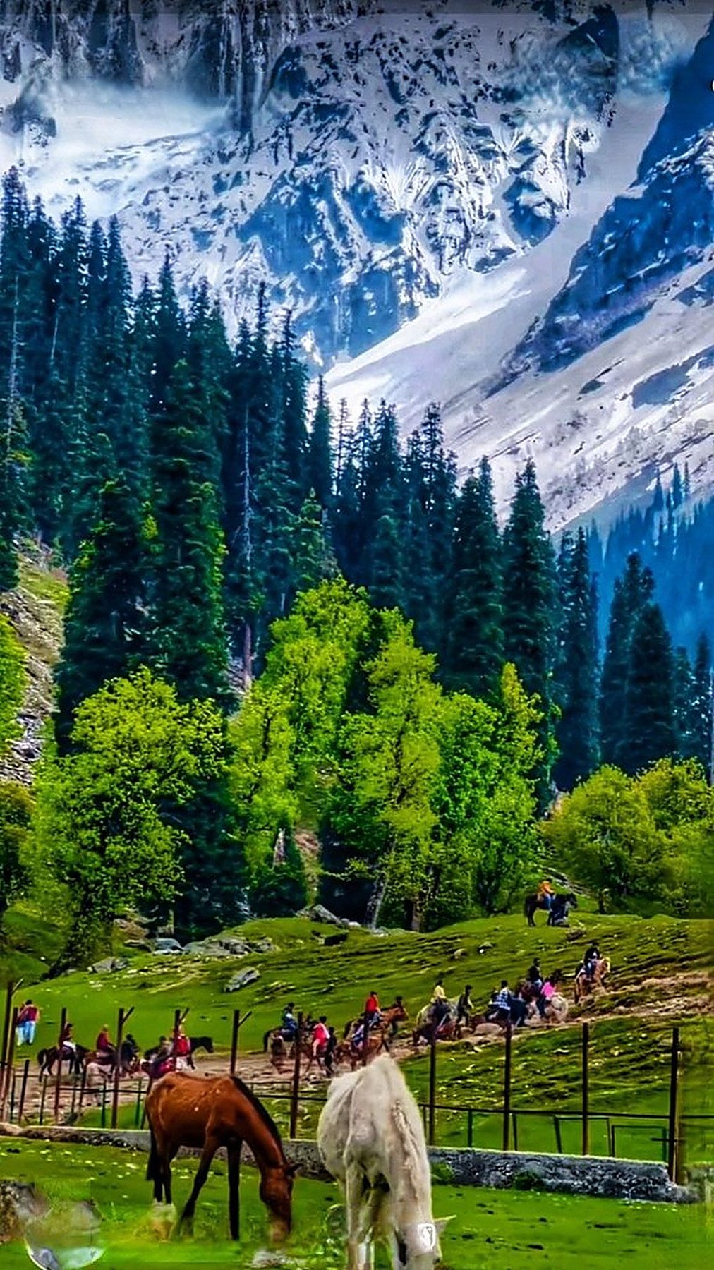 Kashmir