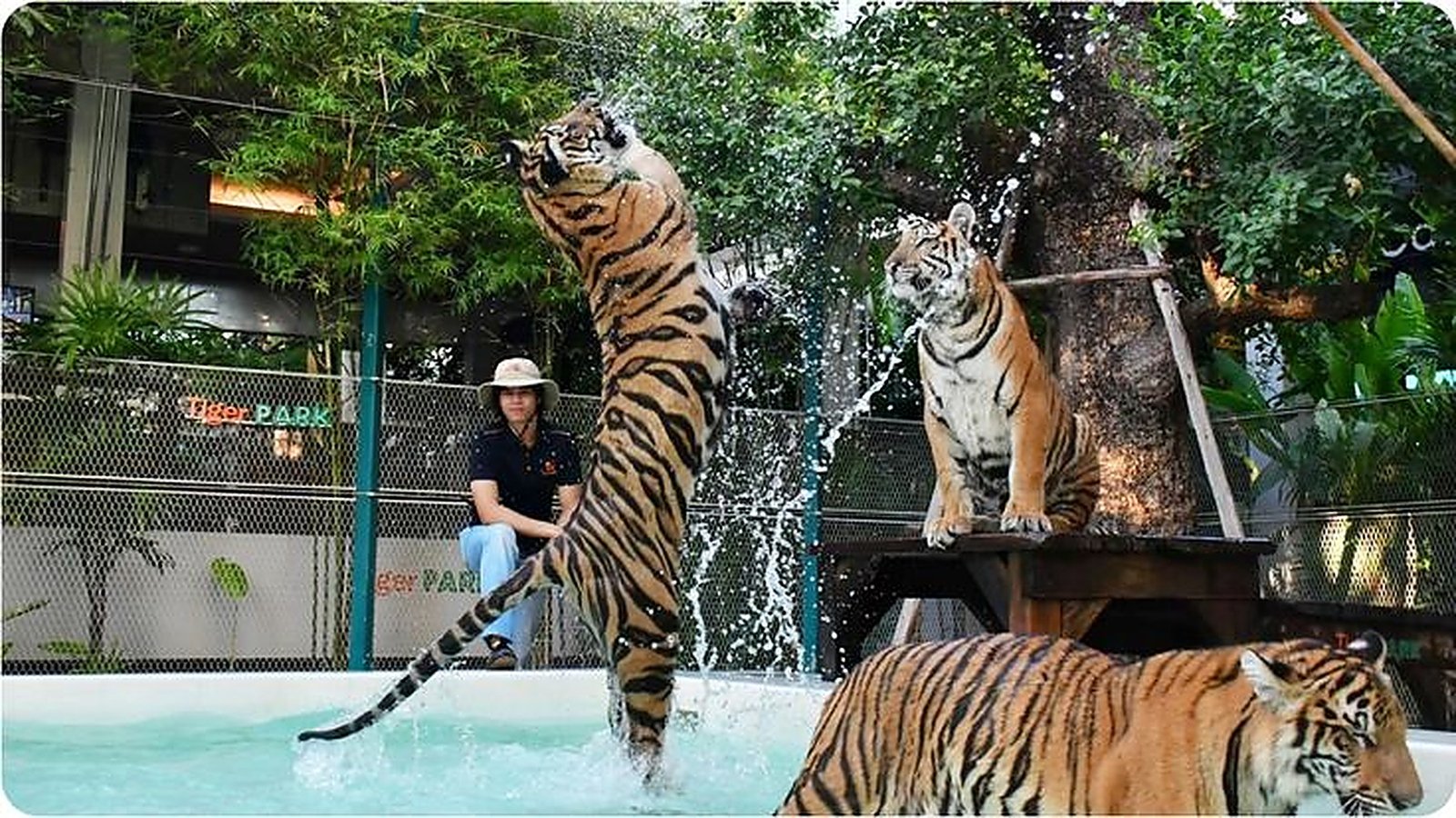 Thailand photograph