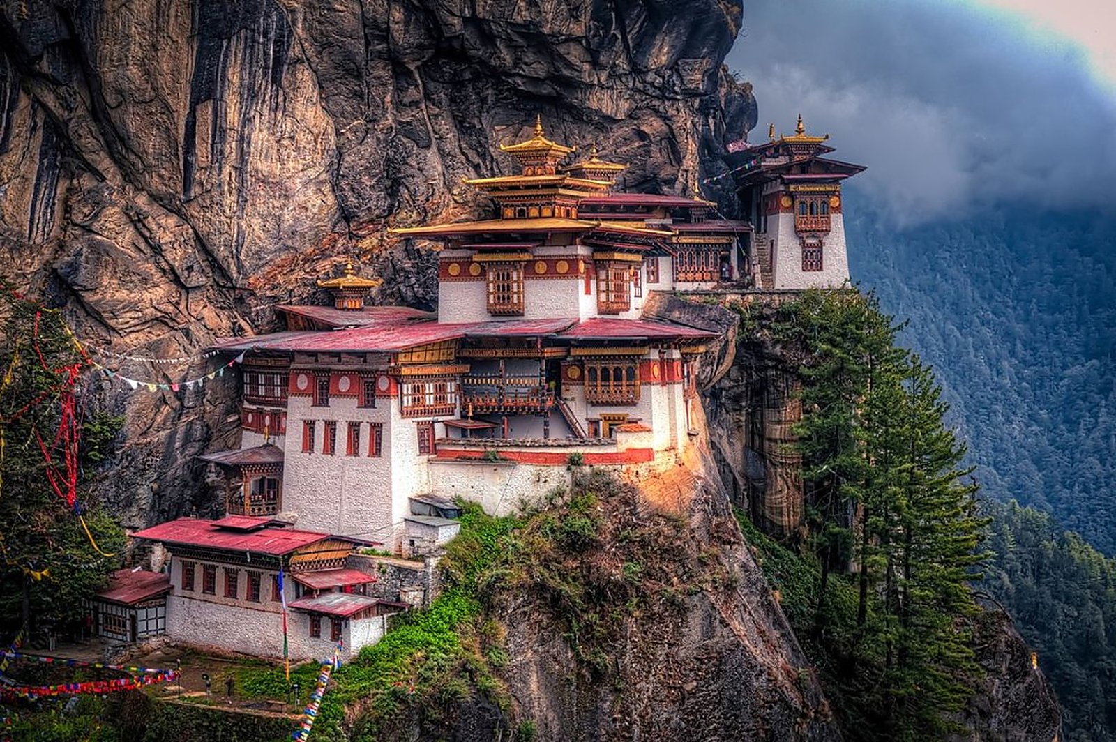 Tiger S Nest Hike